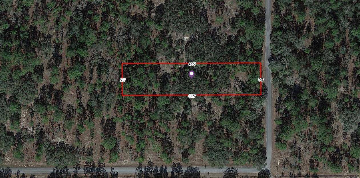 Dunnellon, FL 34431,SW 206 AVENUE