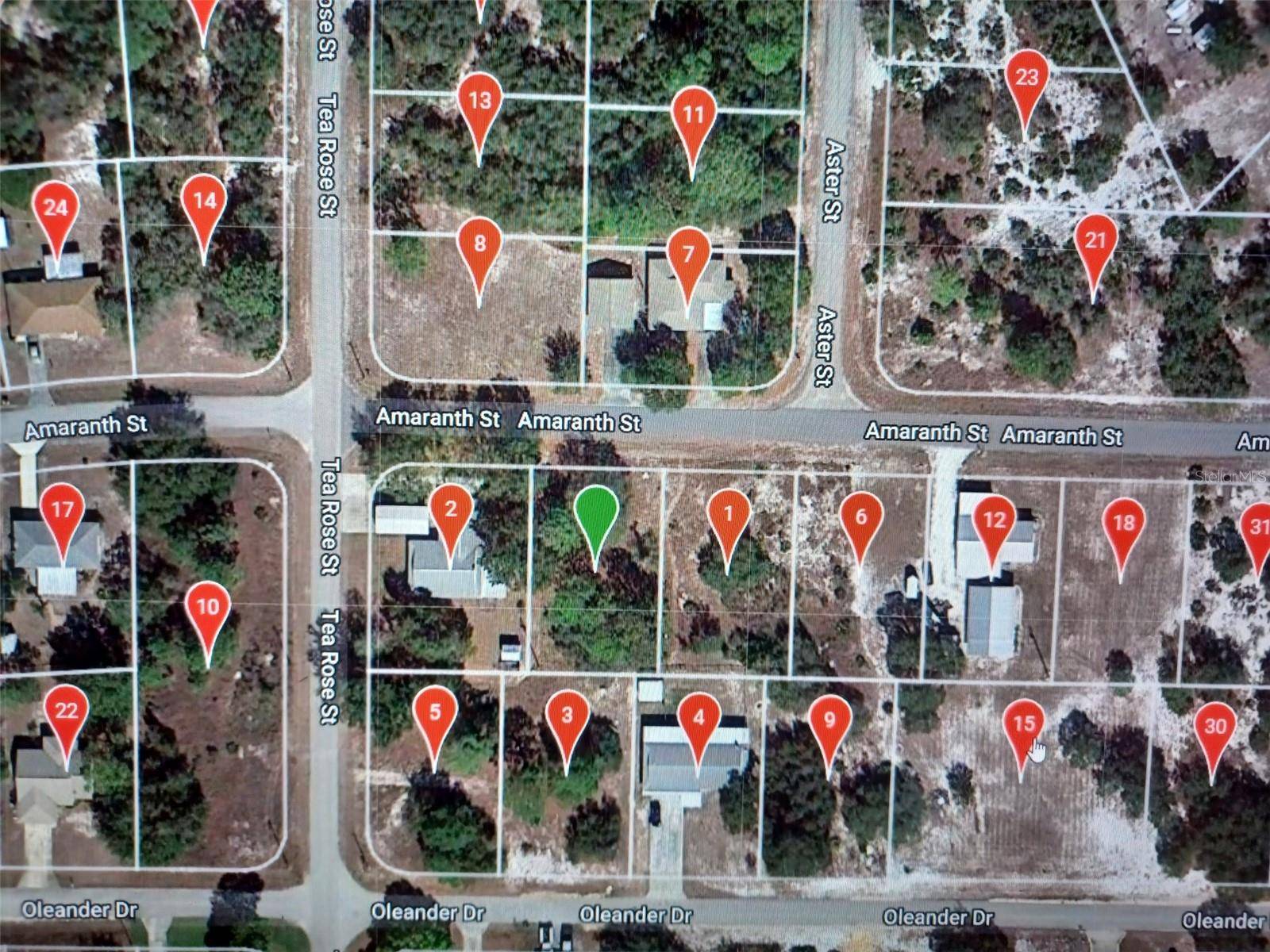 Lake Placid, FL 33852,939 AMARANTH ST