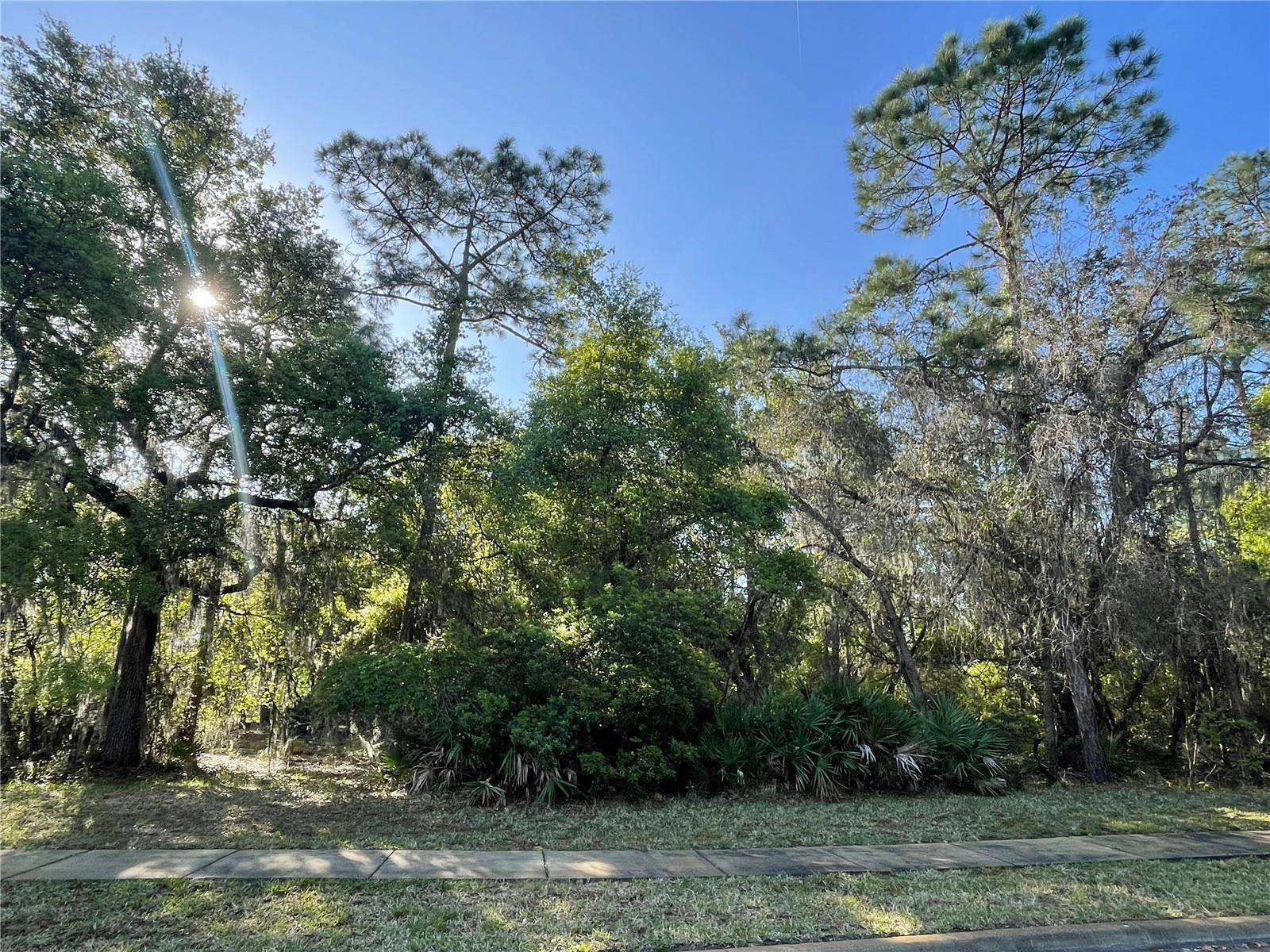 Orlando, FL 32832,11827 RAMBLING OAK BLVD