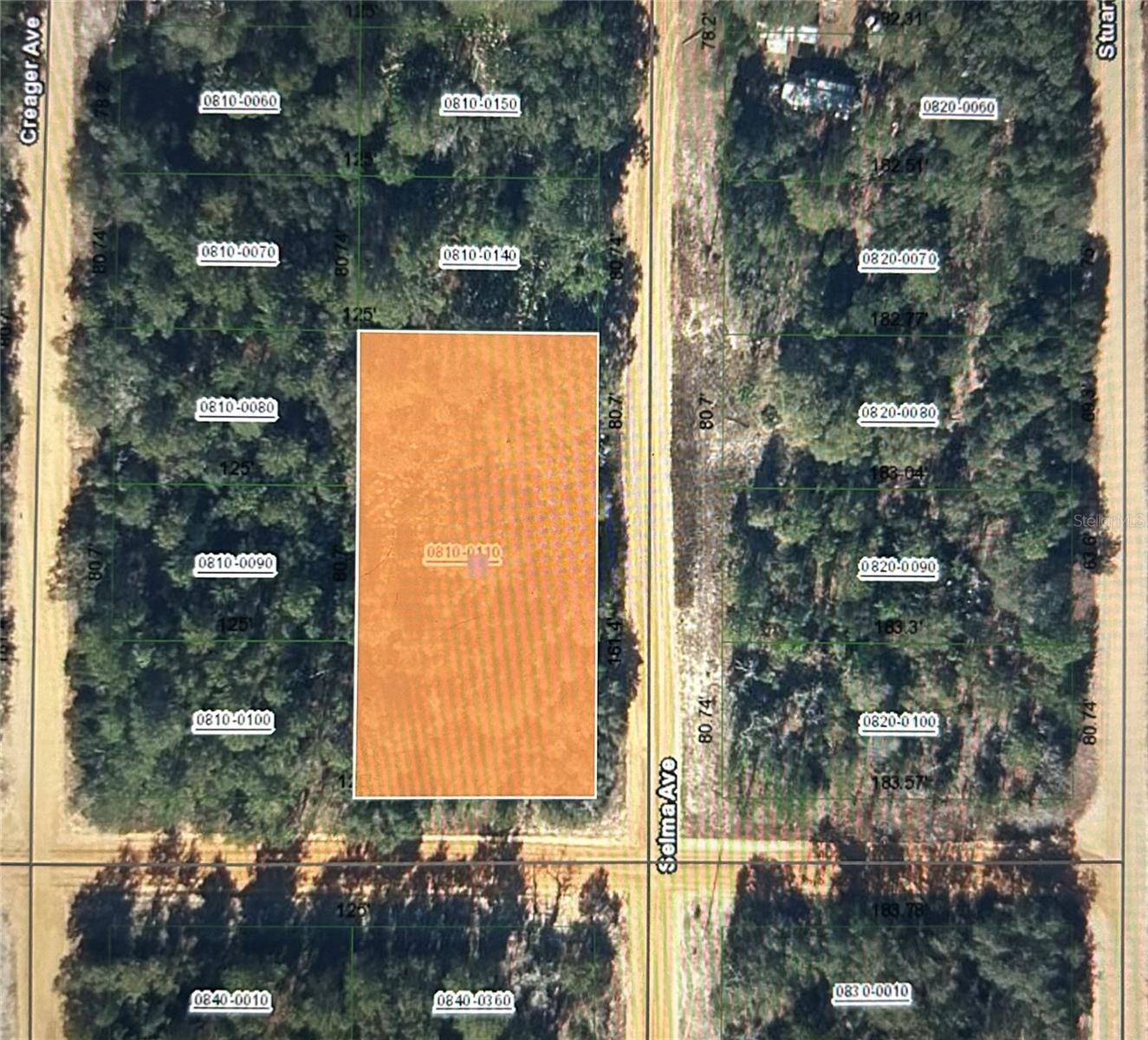 Interlachen, FL 32148,00 SELMA AVE