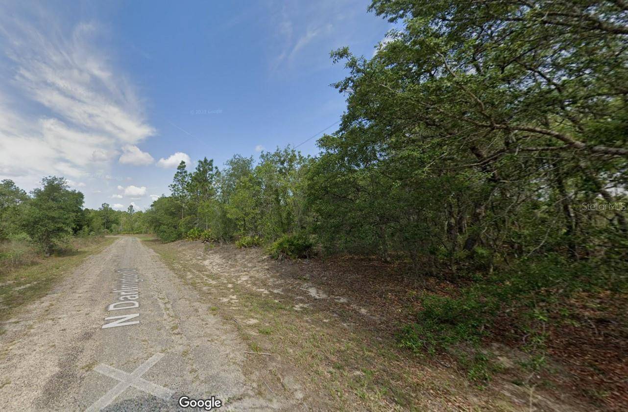 Dunnellon, FL 34434,6761 N DARLINGTON DR