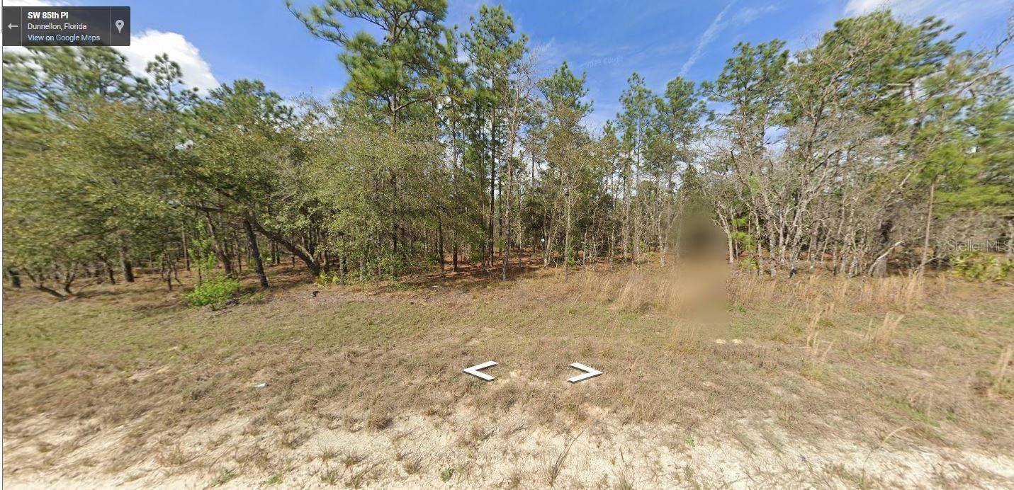 Dunnellon, FL 34431,SW 85TH PLACE