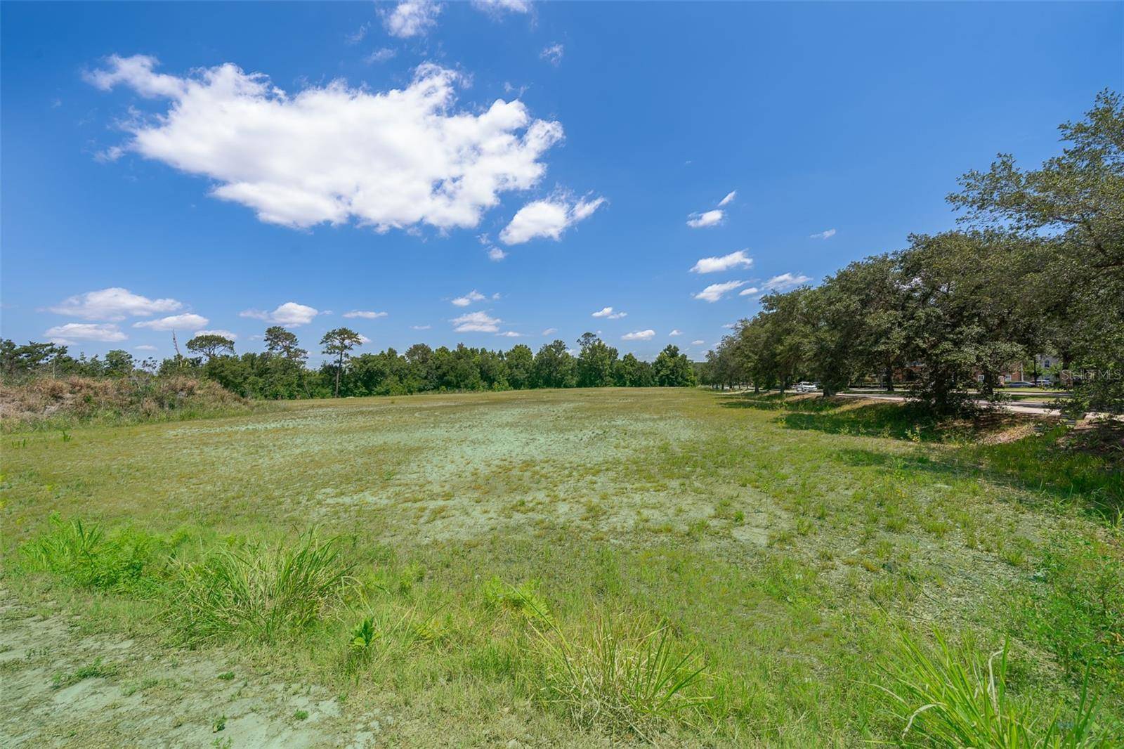 Oviedo, FL 32765,OVIEDO BLVD