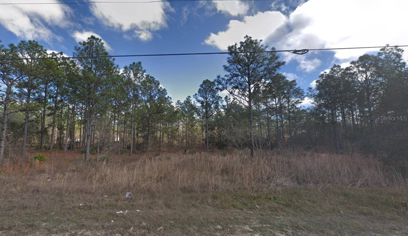 Weeki Wachee, FL 34614,15260 FLEETWOOD RD