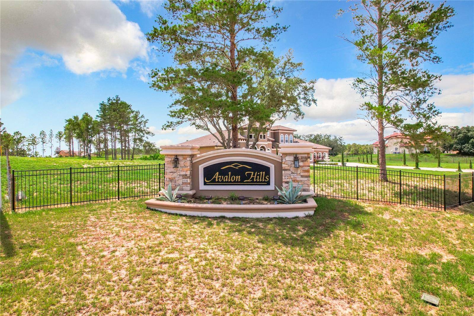 Winter Garden, FL 34787,10133 COLT LN