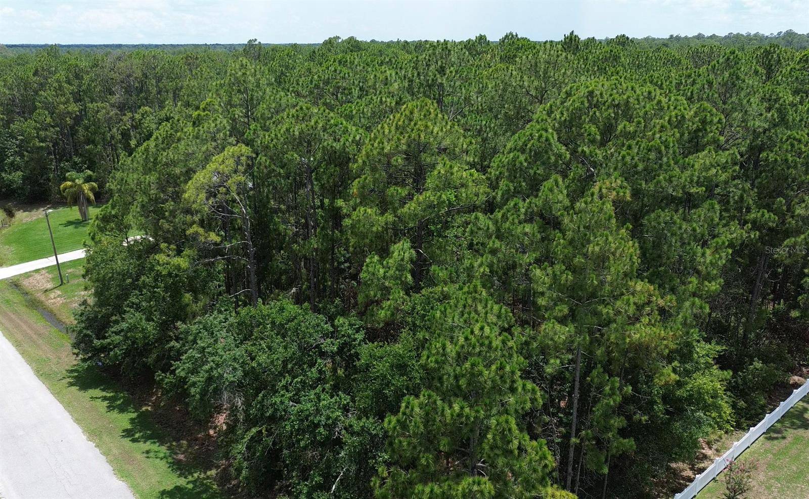 Frostproof, FL 33843,0 FLORIDA GRACKLE LN #LOT 237