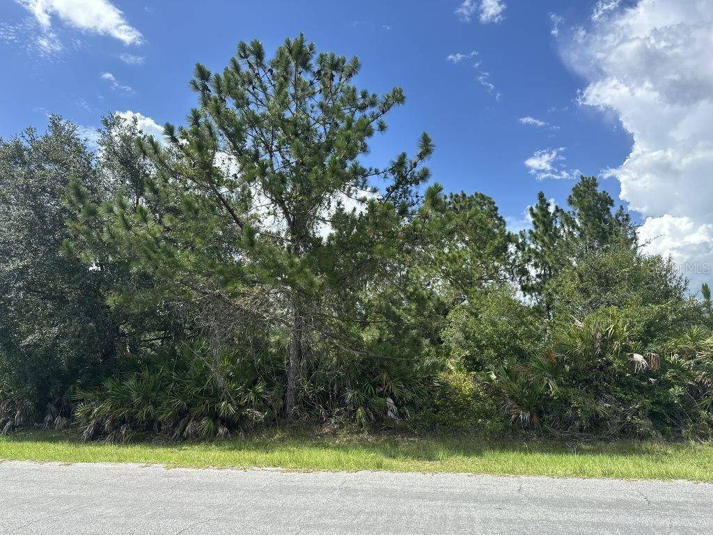 Orlando, FL 32833,Lot 33 SOMERSET ST