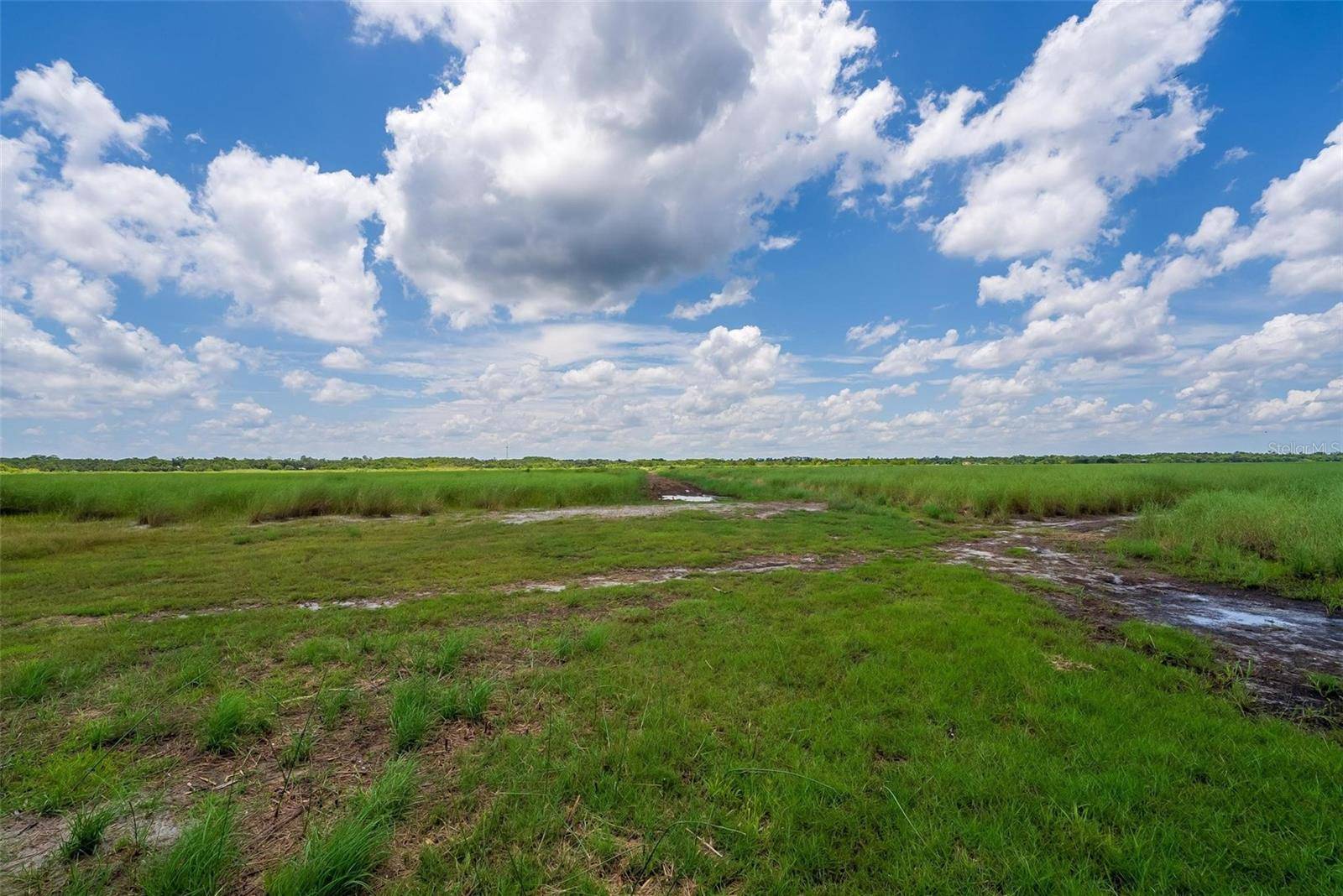 Geneva, FL 32732,WACCASSA ST