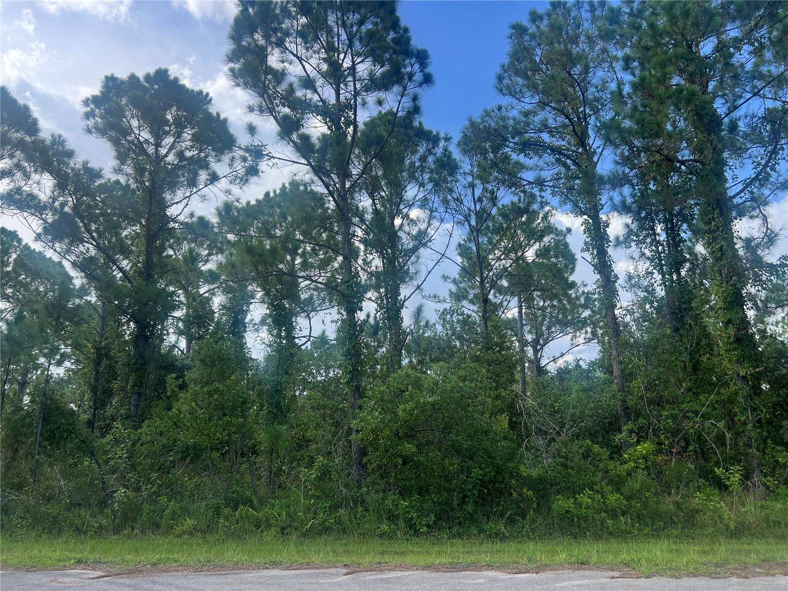 Sebring, FL 33872,8114 MARIN ST