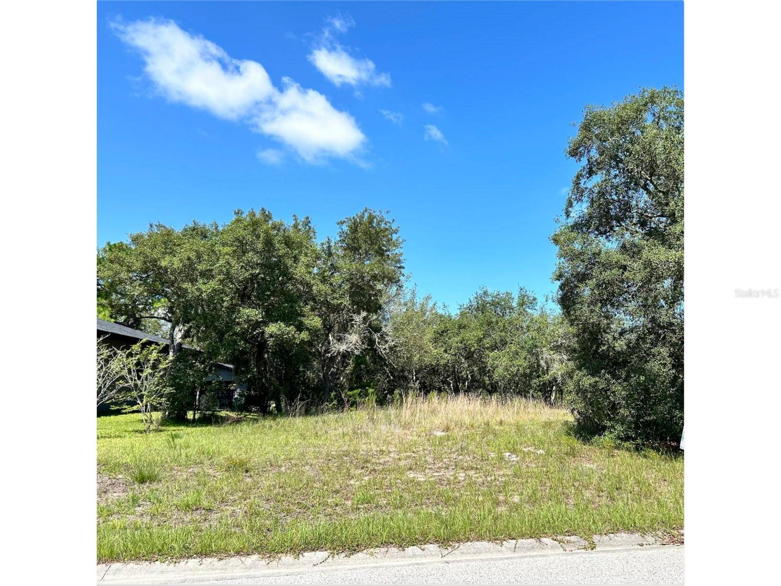 Hudson, FL 34667,18002 OGGIE LN