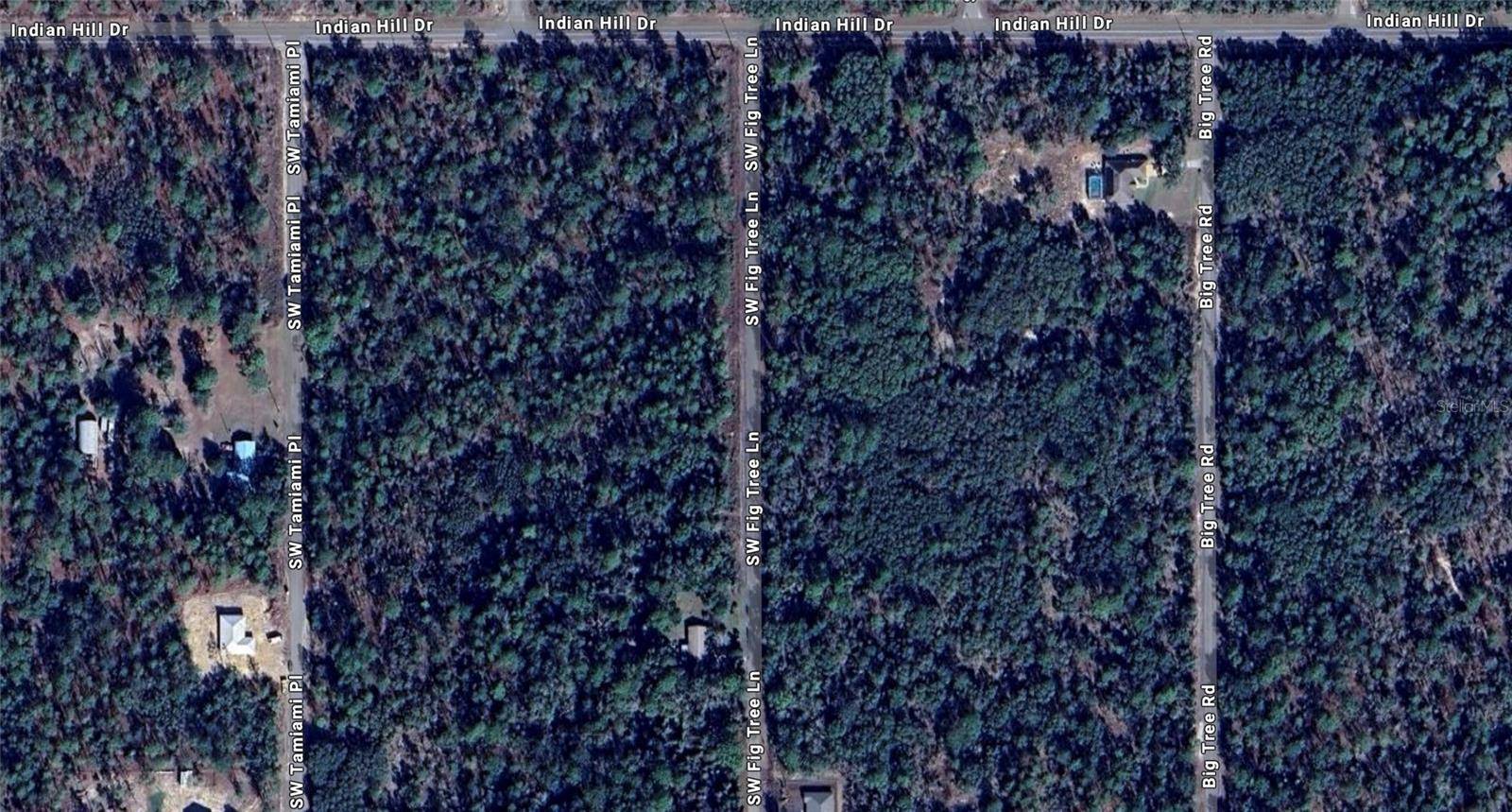 Dunnellon, FL 34431,FIG TREE LN