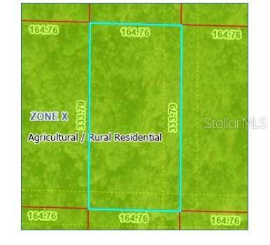 Morriston, FL 32668,UNDEVELOPED