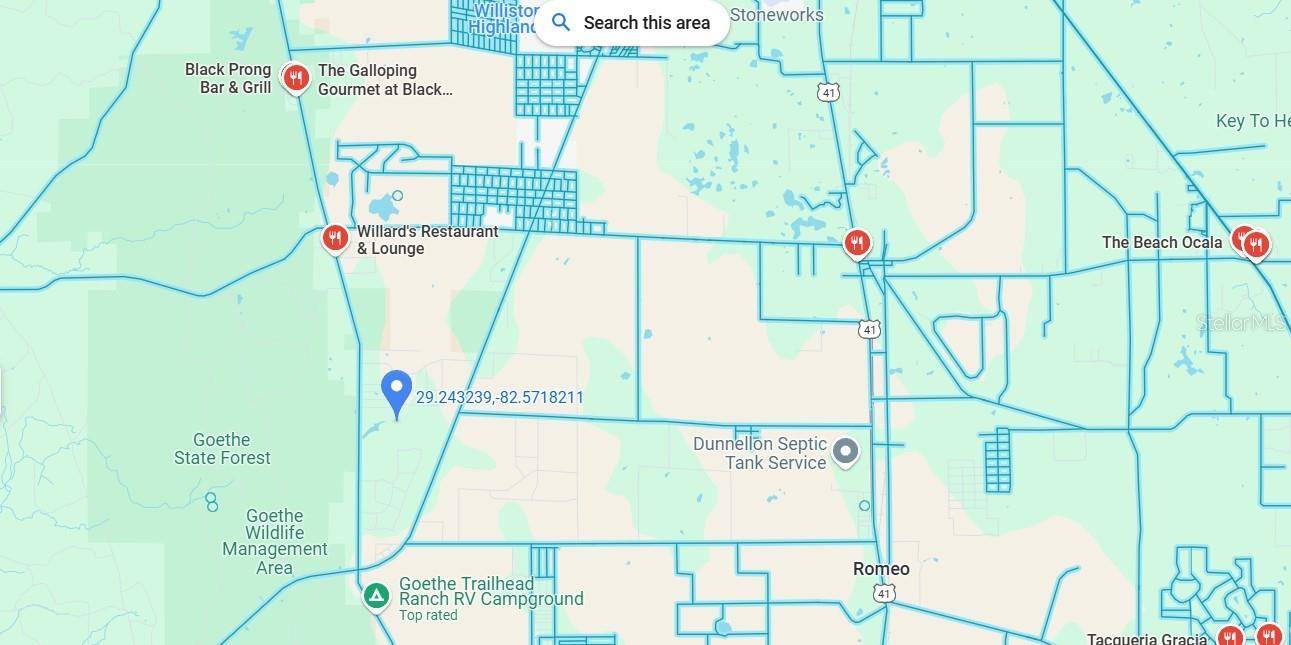 Morriston, FL 32668,UNDEVELOPED