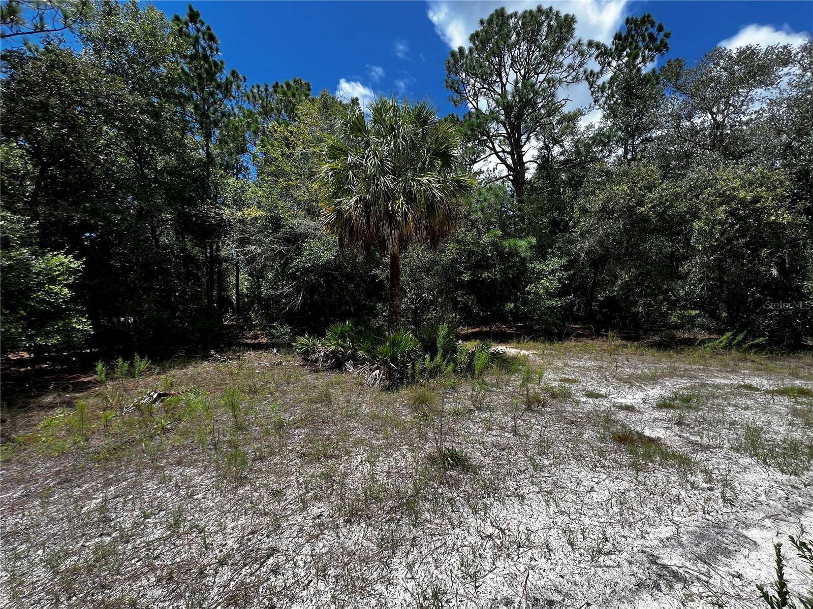 Crystal River, FL 34428,7416 N NATHAN PT