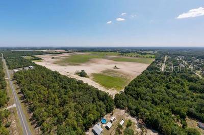 Dunnellon, FL 34431,SW 33RD ST (50.40 AC - PID 17393-010-00