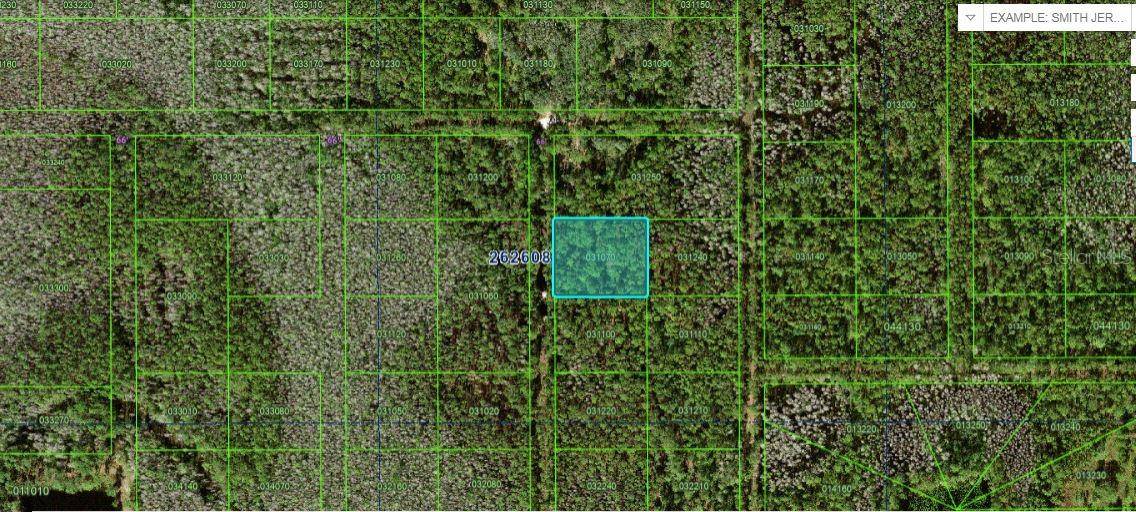 Polk City, FL 33868