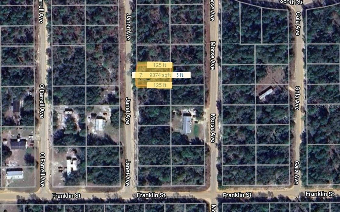 Interlachen, FL 32148,JANET AVE