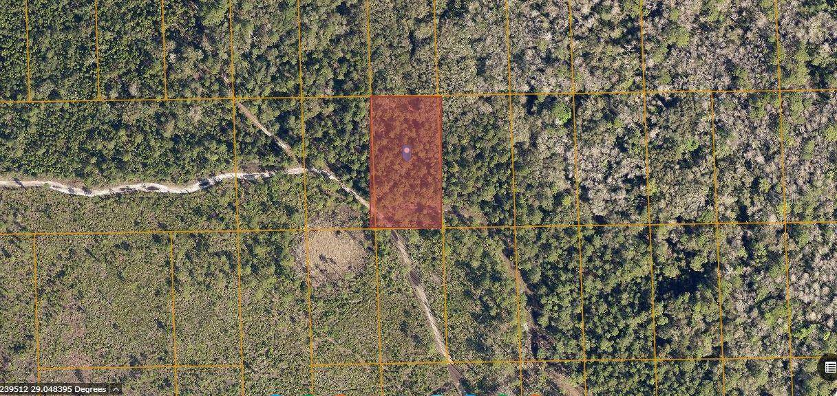 Deland, FL 32724,NECTARINE RD