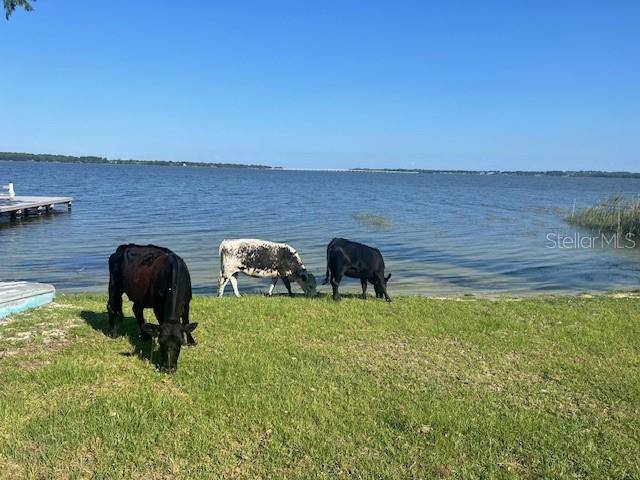 Astatula, FL 34705,25800 WASHINGTON ST