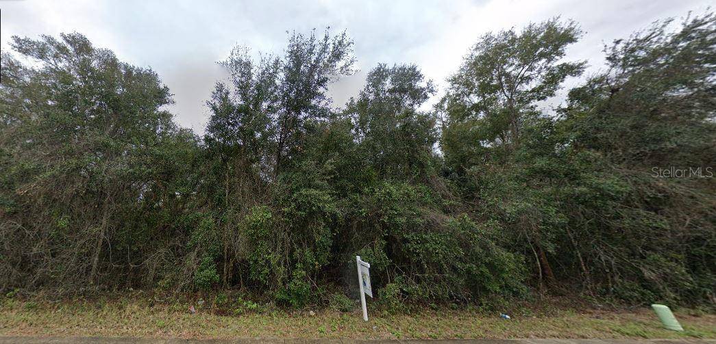 Hawthorne, FL 32640,SE HAWTHORNE RD