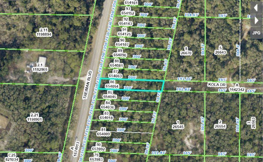 Webster, FL 33597,8250 COMMERCIAL HIGHLANDS US 301 BLVD