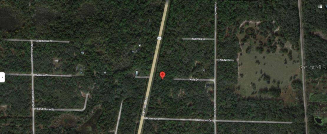 Webster, FL 33597,8250 TREIMAN BLVD BLVD