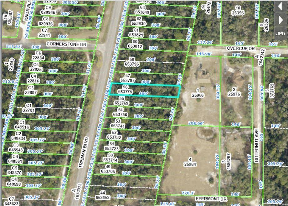 Webster, FL 33597,8086 TREIMAN BLVD BLVD