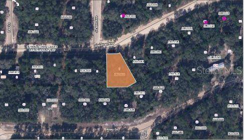Interlachen, FL 32148,RILEY DR