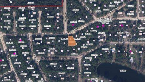 Interlachen, FL 32148,RILEY DR