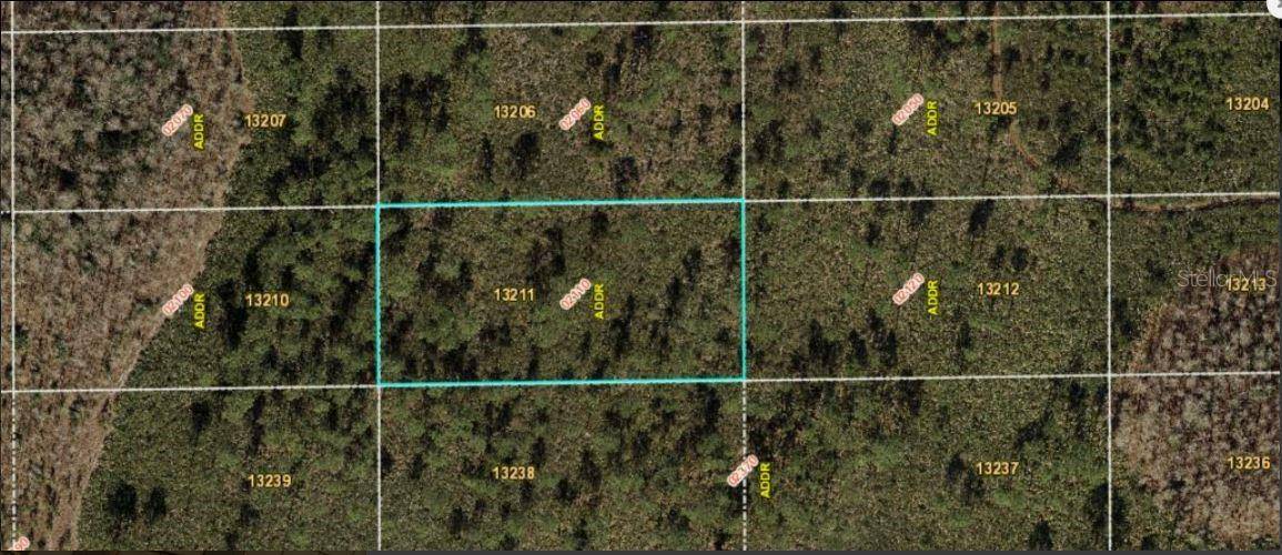 Orlando, FL 32820,DILL RD