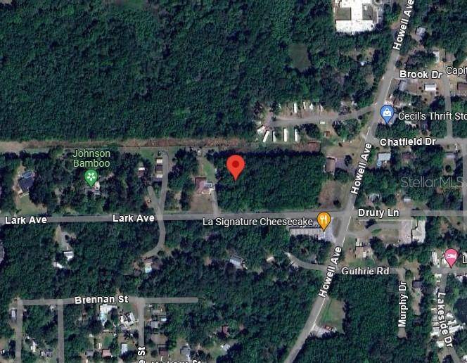 Brooksville, FL 34601,LARK AVE