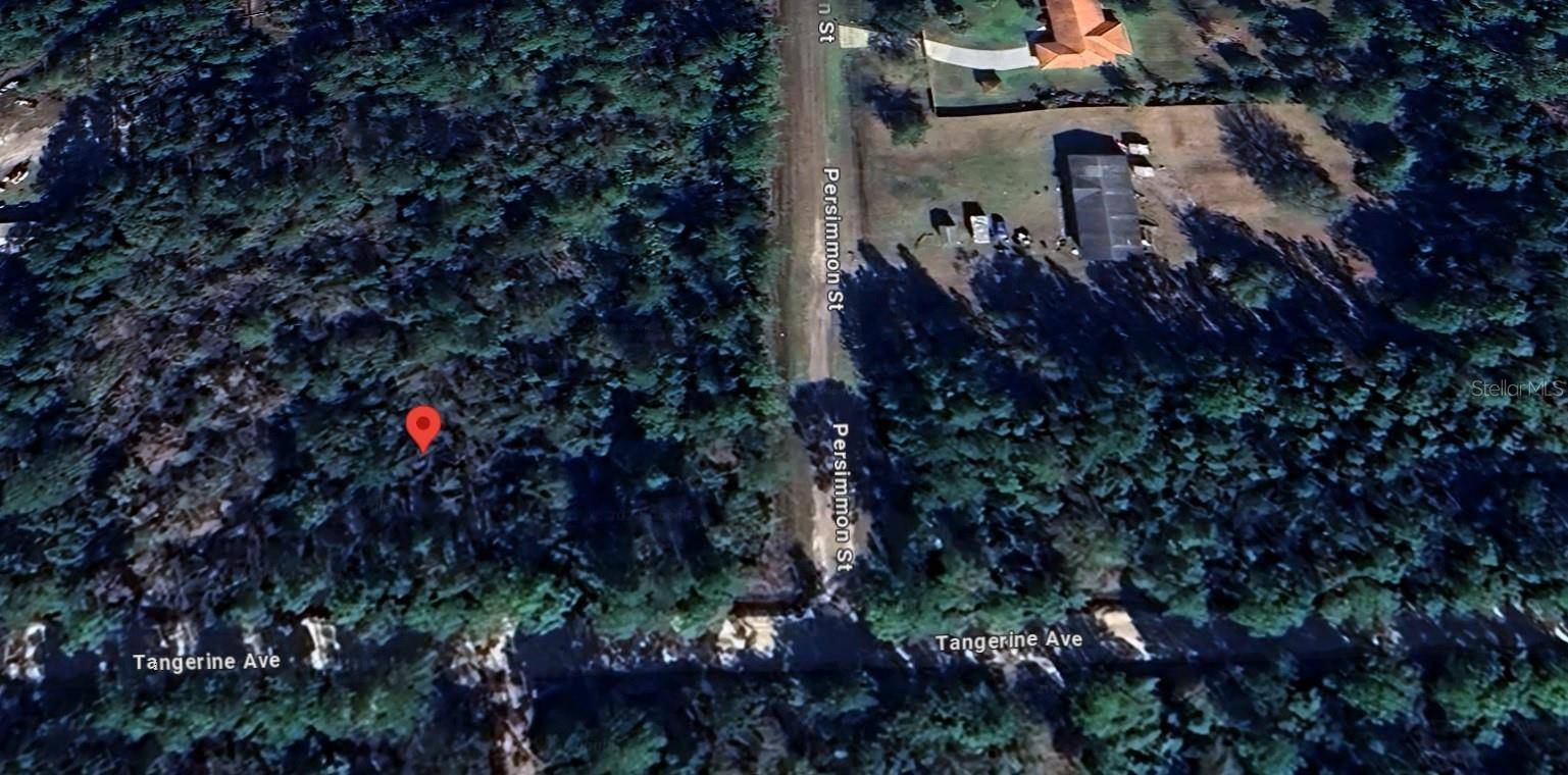 Bunnell, FL 32110,2956 PERSIMMON ST