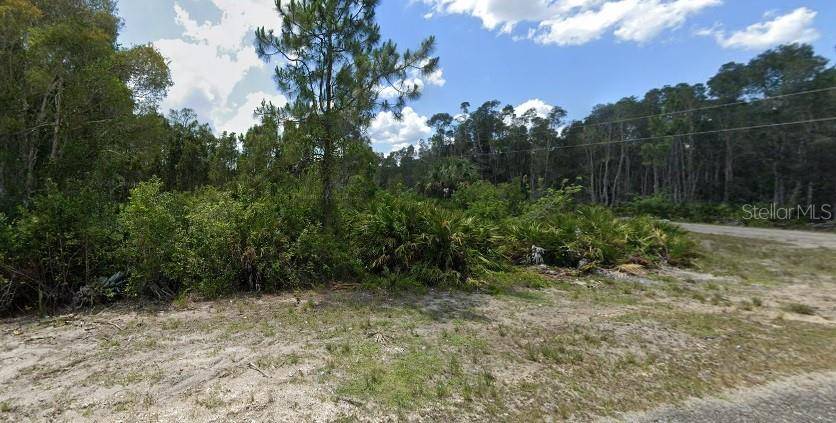 Lehigh Acres, FL 33974,1010 LISBON AVE