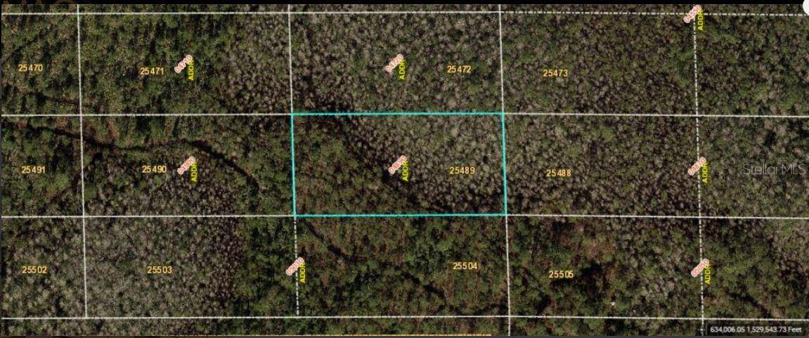 Orlando, FL 32820,DILL RD