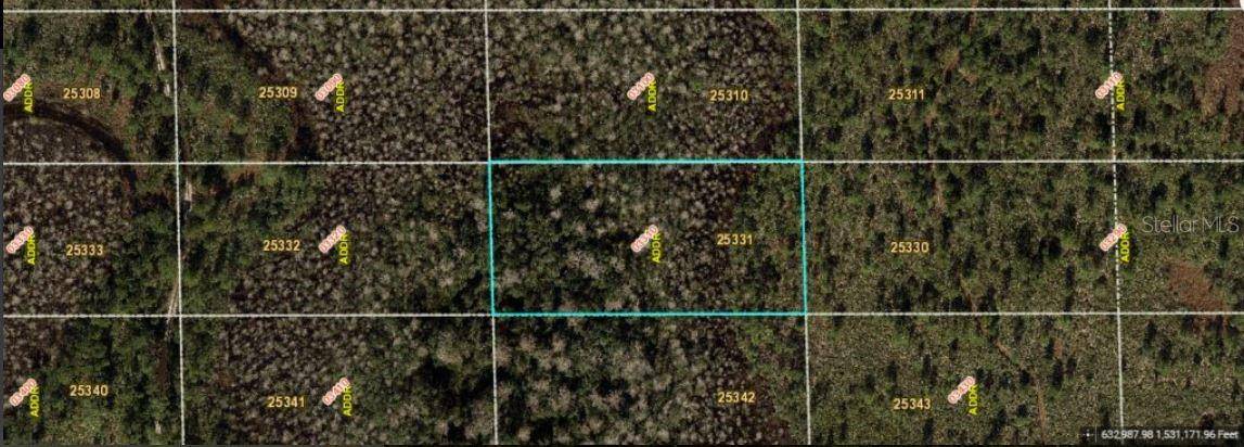 Orlando, FL 32820,DILL RD