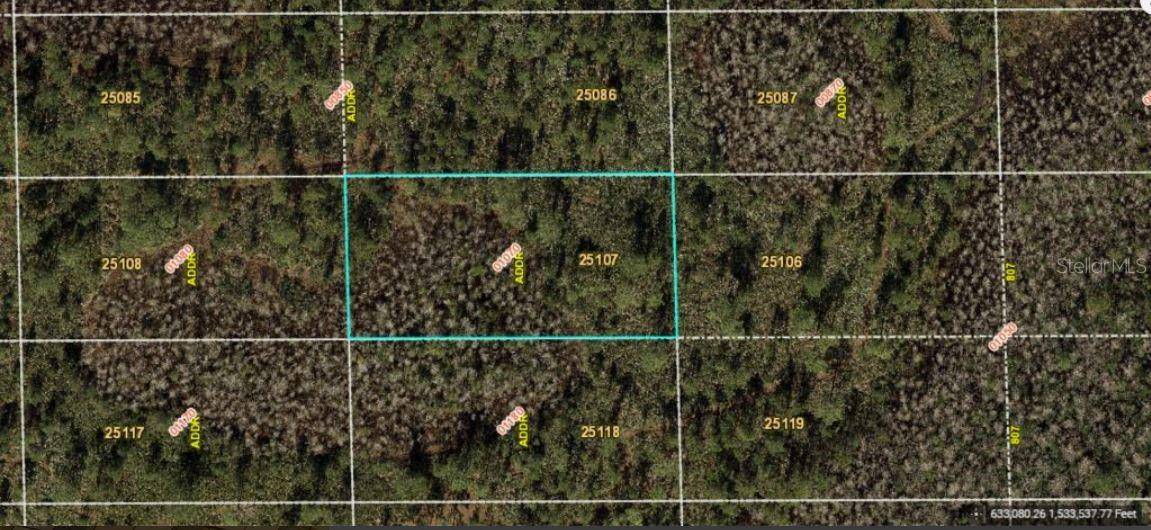 Orlando, FL 32820,DILL RD