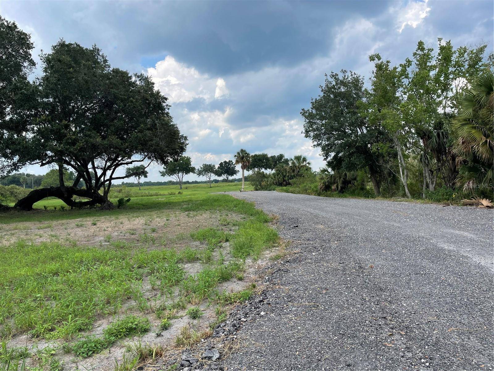 Umatilla, FL 32784,COUNTY ROAD 450A