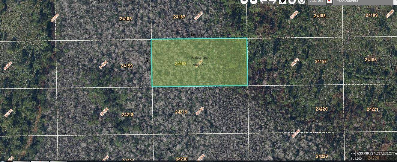 Orlando, FL 32820,DILL RD