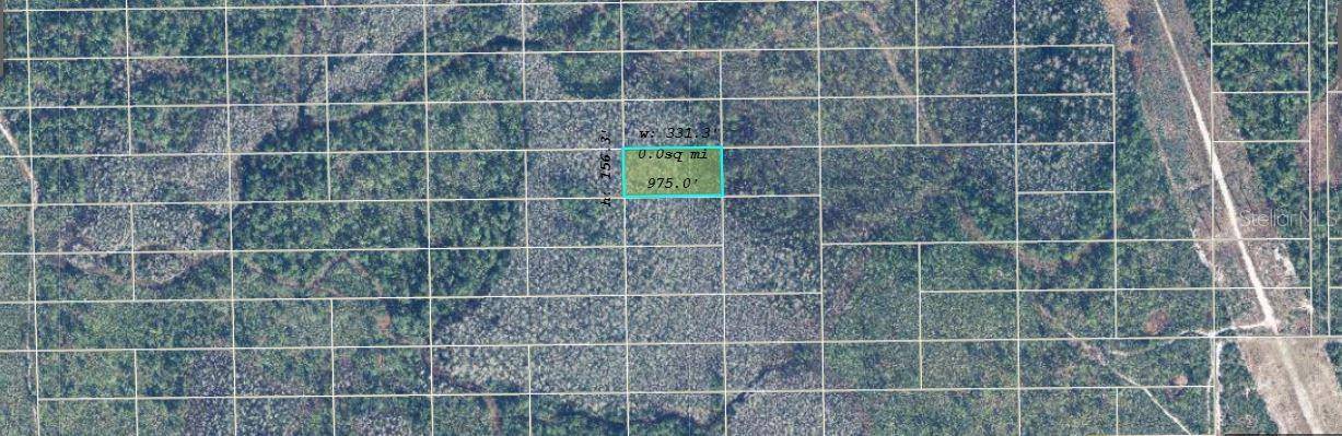 Orlando, FL 32820,DILL RD