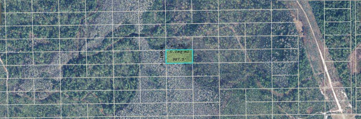 Orlando, FL 32820,DILL RD