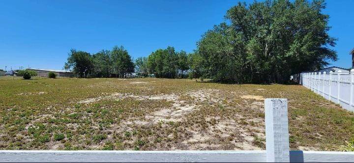 Summerfield, FL 34491,SE 143RD LN