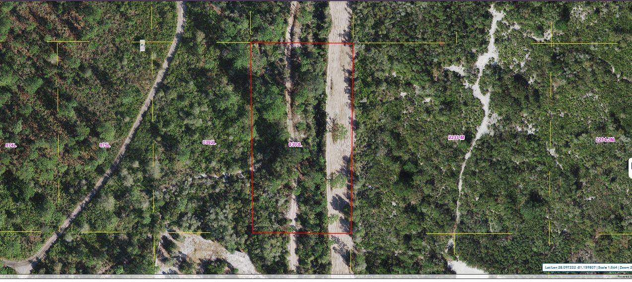 Saint Cloud, FL 34773,HOLOPAW GROVES RD