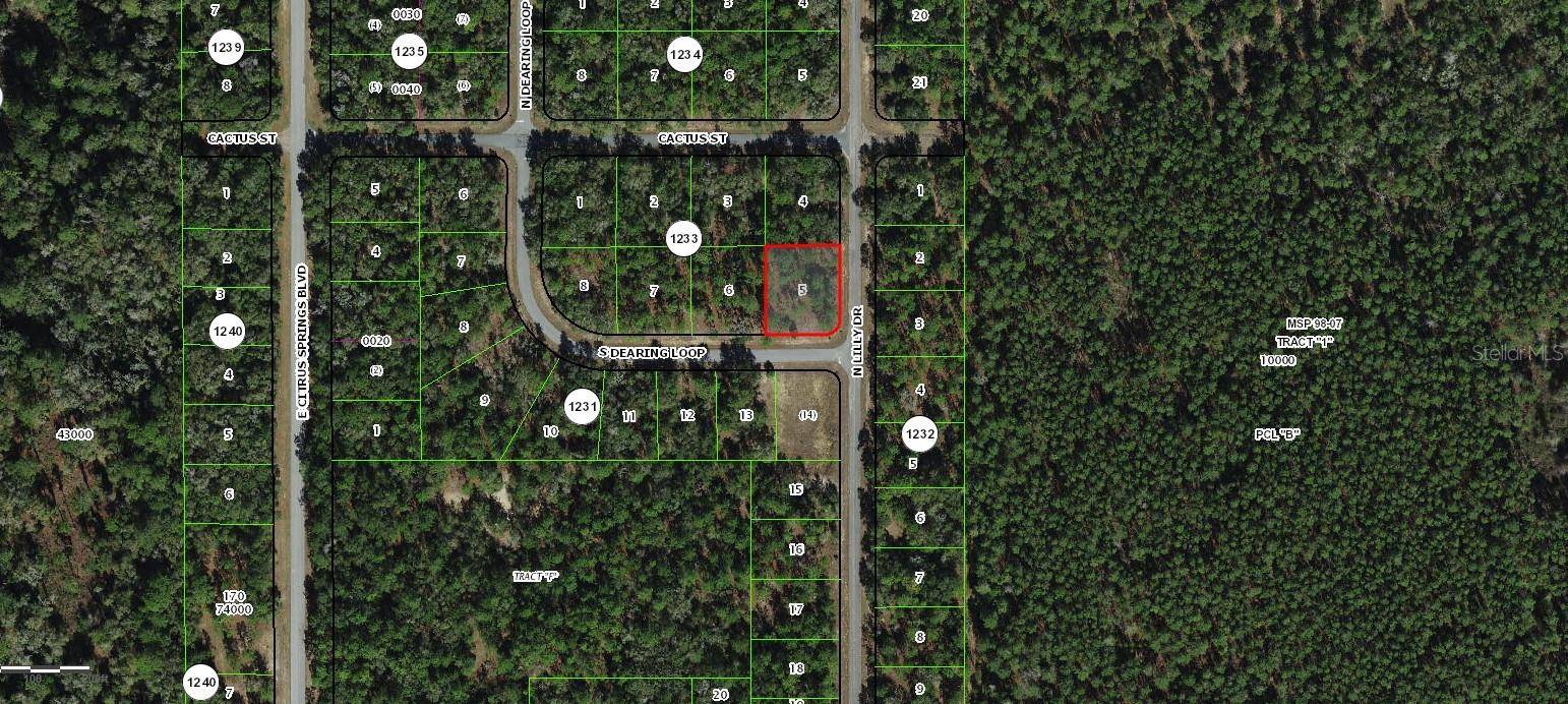 Dunnellon, FL 34434,9611 N DEARING LOOP