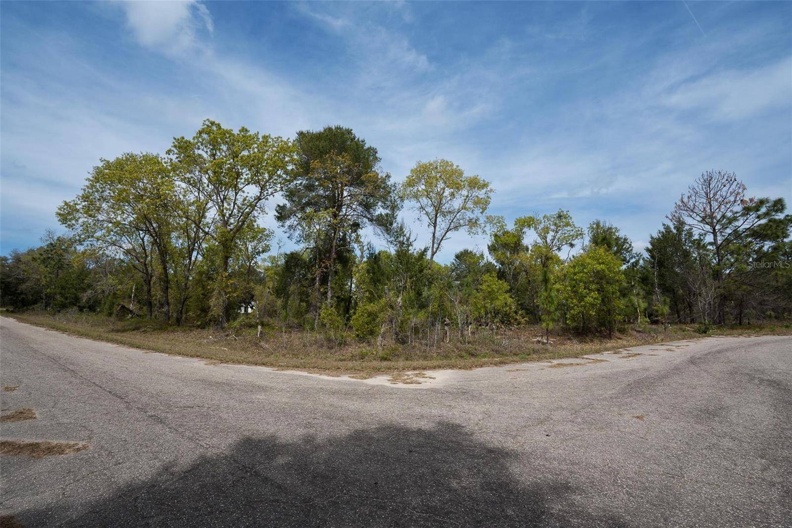 Ocklawaha, FL 32179,GUAVA PASS WAY