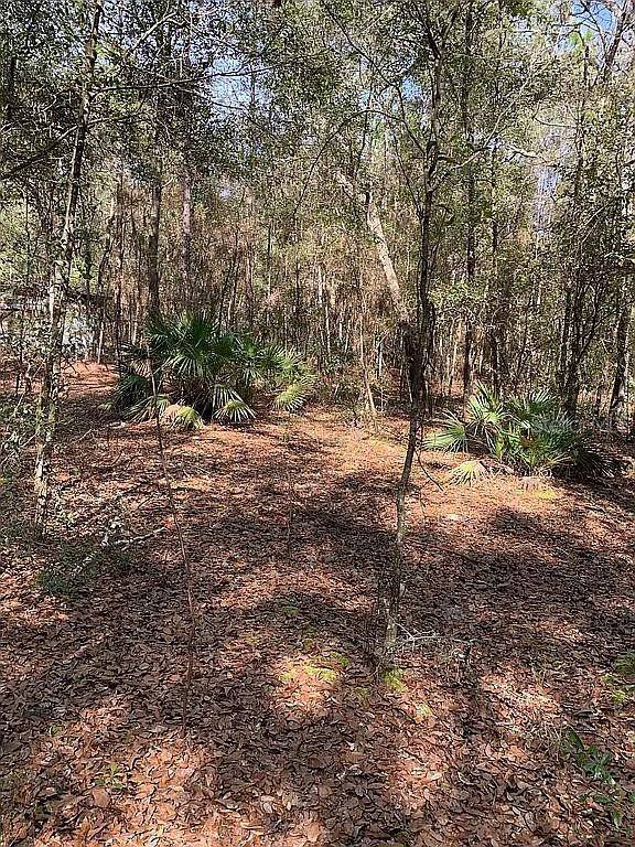 Keystone Heights, FL 32656,7095 RIDGE TRAIL RD