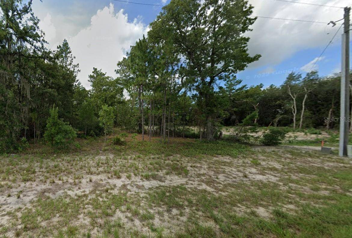 Ocala, FL 34473,TBD SW 153 STREET ROAD