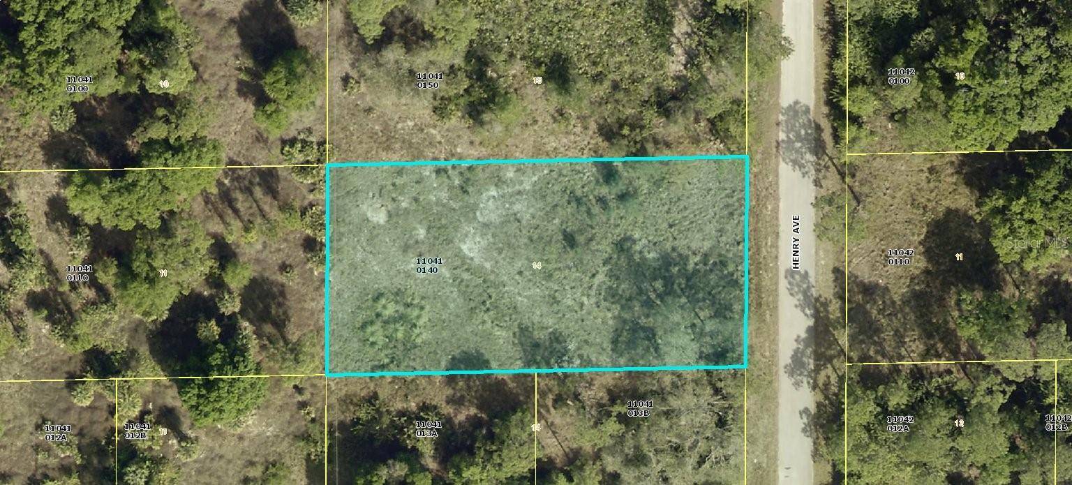 Lehigh Acres, FL 33972,1503 HENRY AVE