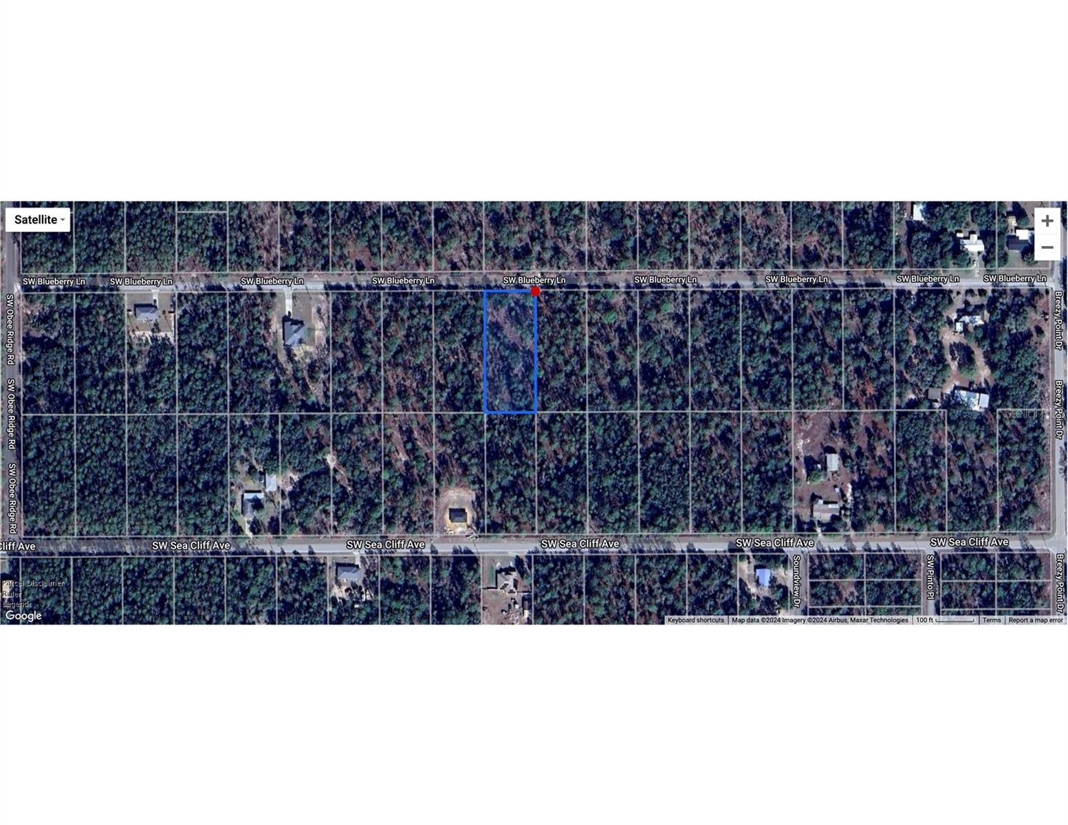 Dunnellon, FL 34431,TBD SW BLUE BERRY LN