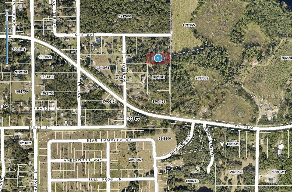 Umatilla, FL 32784,10TH AVE