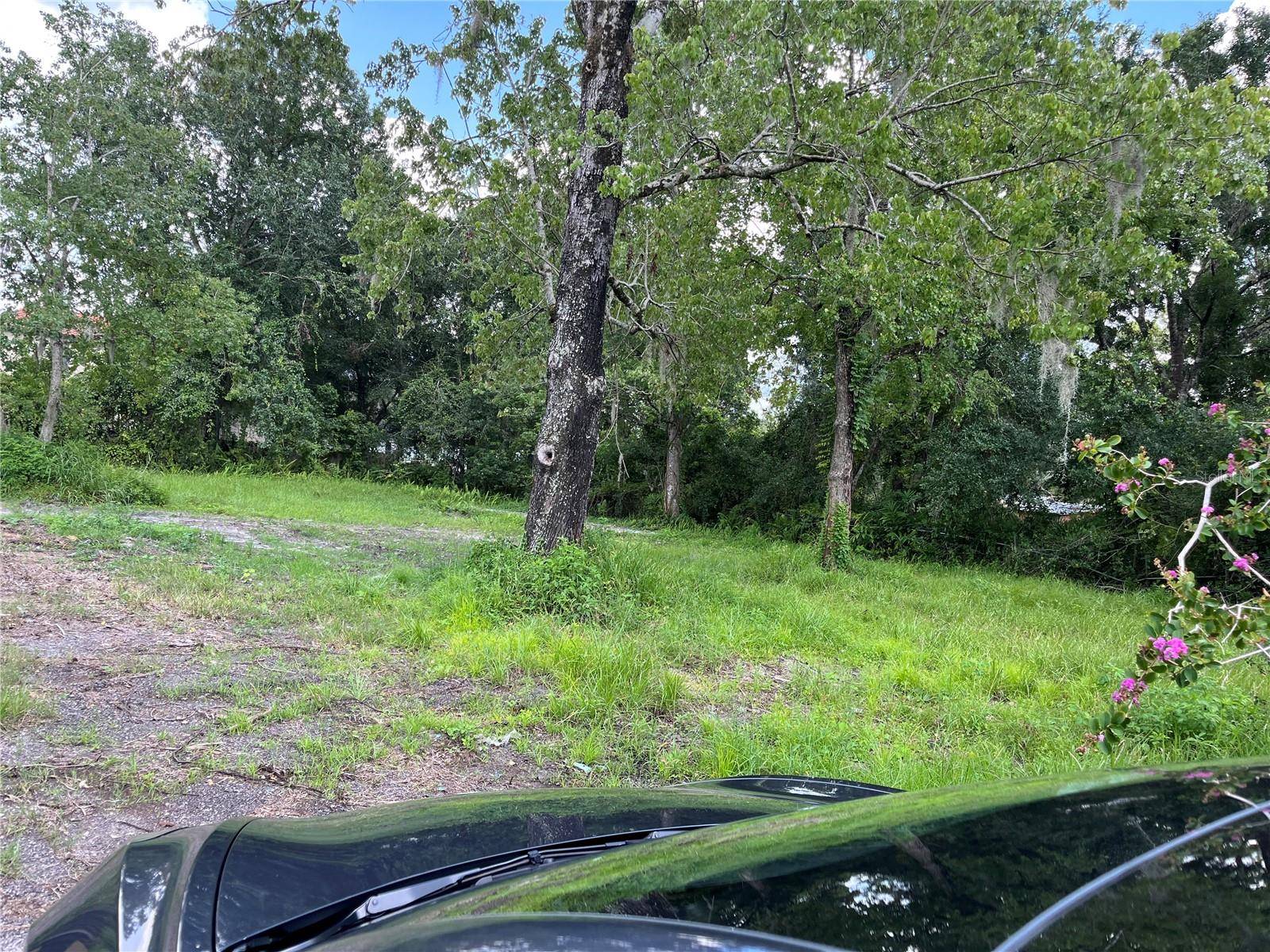 Orlando, FL 32828,805 GERANIUM AVE